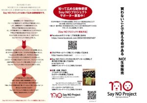 画像2: Say NOプロジェクト リーフレット申し込み (2)