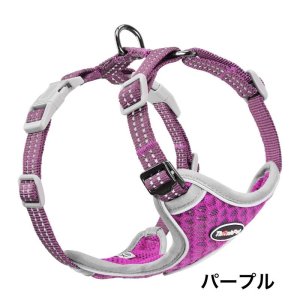 画像12: thinkpetソフトエアメッシュハーネス (12)